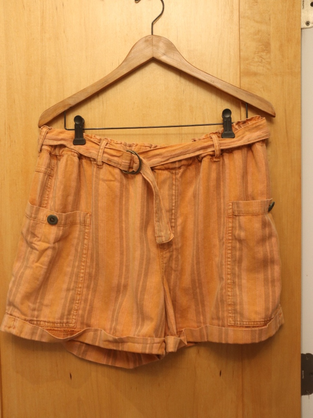 Anthropologie Tangerine Hei Hei Shorts and Belt, Size Large